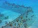 1467_Grand_Turk[1]